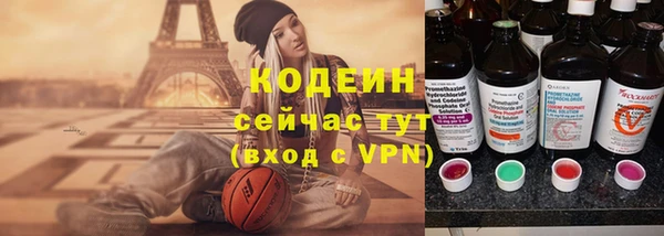шишки Михайловск
