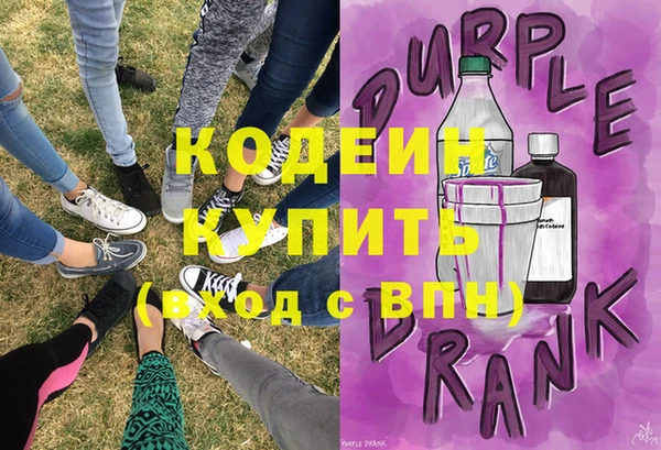 шишки Михайловск