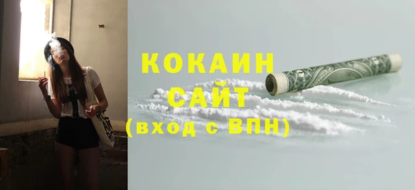 шишки Михайловск