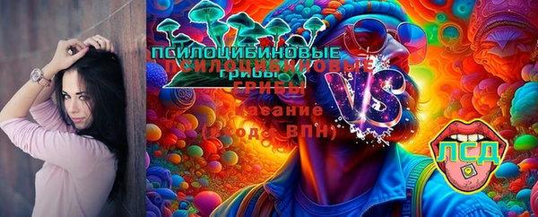 спиды Михайлов
