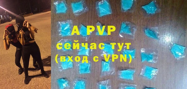 шишки Михайловск