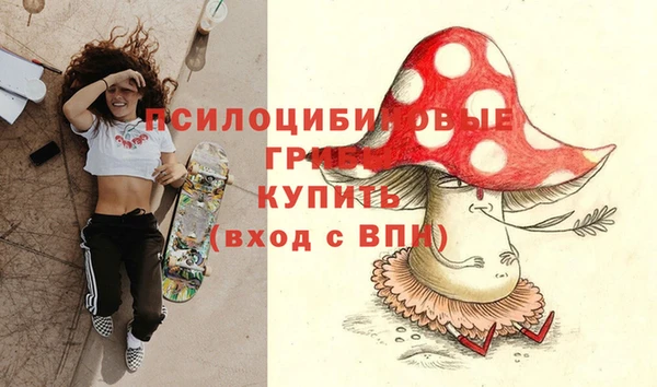 спиды Михайлов