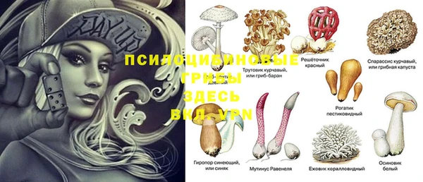 спиды Михайлов
