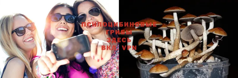 mega зеркало  Любим  Псилоцибиновые грибы MAGIC MUSHROOMS  наркошоп 